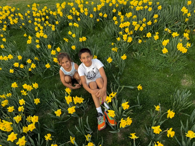 Spring Things